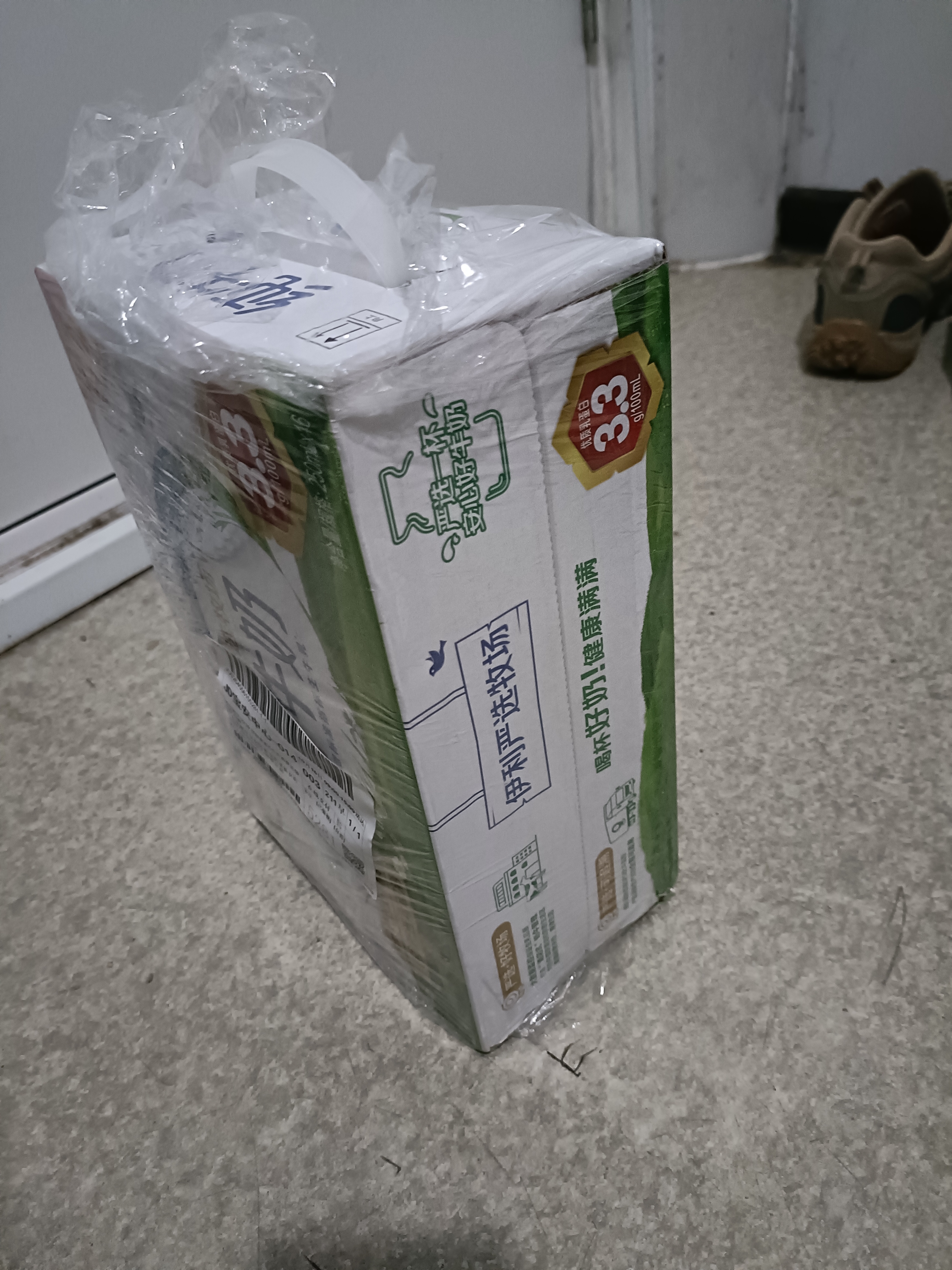 伊利纯牛奶整箱250ml*16盒 全脂牛奶 定期购 实拍图