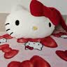 野兽派家居（tbh）三丽鸥Hello Kitty二合一法兰绒抱枕毯空调毛毯午睡毯车载靠枕毯 实拍图