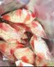维维维他型豆奶粉560g/袋非转基因大豆营养早餐水果燕麦搭档冲饮代餐 实拍图