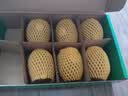 佳沛（zespri）新西兰金奇异果8粒特大果124-146g猕猴桃中秋节礼品送水果礼盒 实拍图