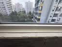 雨虹防水硅酮耐候结构胶 室外户外铝合金门窗幕墙玻璃胶 瓷白色300ML 实拍图