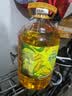 金龙鱼 食用油 非转基因 物理压榨玉米油6.18L（蕴含植物甾醇） 实拍图