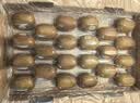 佳沛（zespri）新西兰金奇异果22粒巨大原箱146-175g猕猴桃水果礼盒 实拍图