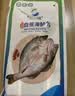 仙泉湖三去白蕉海鲈鱼1斤/条净膛刺少肉厚珠海特产500g海鲜水产生鲜食材 实拍图