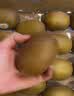 佳沛（zespri）新西兰金奇异果22粒巨大原箱146-175g猕猴桃水果礼盒 实拍图