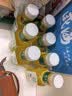 农夫山泉东方树叶茉莉花茶500ml*15瓶无糖茶饮料0糖0脂0卡整箱装 实拍图