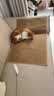 憨憨乐园防剑麻垫猫抓垫猫抓板不掉屑耐抓防猫爪猫垫子入户门地垫用品 实拍图