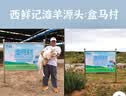 西鲜记盐池滩羊 原切带骨羔羊老饕羊背手把肉1kg 清炖红烧炖煮生鲜食材 实拍图