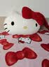 野兽派家居（tbh）三丽鸥Hello Kitty二合一法兰绒抱枕毯空调毛毯午睡毯车载靠枕毯 实拍图
