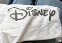 迪士尼（Disney）包包女式2026新款小众斜跨链条包高级感实用纪念日生日礼物送女生 实拍图