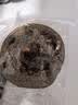 Arale全麦果仁车轮面包4种混合1kg/箱 无蔗糖2斤吐司 粗粮 健身代餐 实拍图