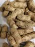 洽洽柴火花生200g原味农家铁锅炒花生虎皮花生坚果炒货零食节日 实拍图