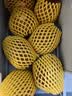 佳沛（zespri）绿奇异果10个装 宝宝果单果约80-89g 水果猕猴桃包邮 实拍图