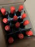 加达尔庄园 智利进口干红14.5度红酒小瓶欧梵仕葡萄酒187ml*24瓶礼盒装送礼 24*瓶干红葡萄酒 实拍图