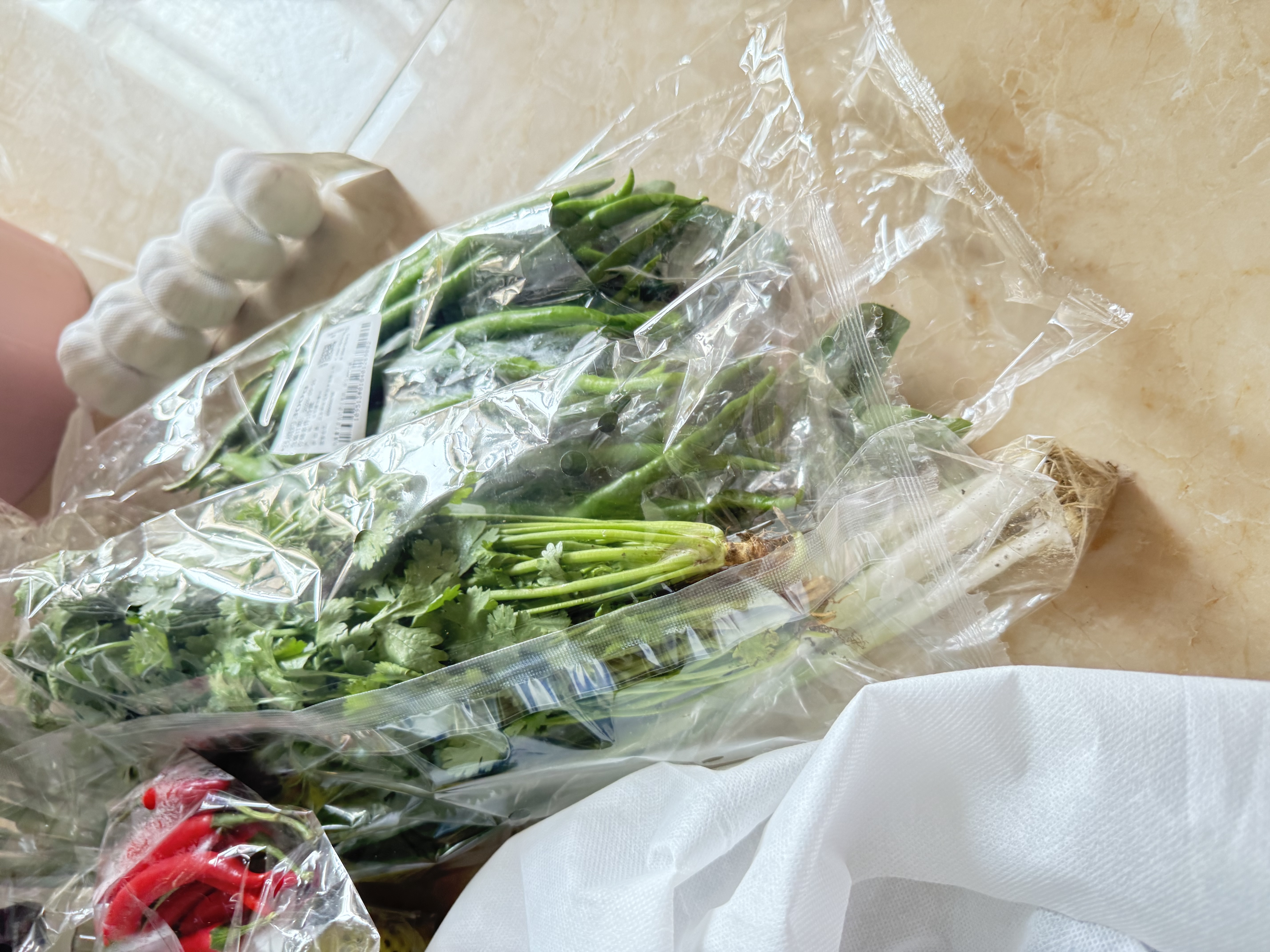 有机黄豆芽200g 实拍图