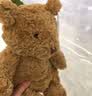 Jellycat笨笨小熊动物毛绒玩偶泰迪动物毛绒玩偶公仔送礼生日新婚礼物 笨笨小熊 Small 实拍图