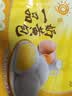 湾仔码头一品奶黄包700g 20只包子速食面点生鲜夜宵儿童早餐速冻半成品 实拍图