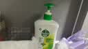 滴露（Dettol）洗手液松木500g瓶 健康抑菌消毒非补充装 儿童家庭用清爽去油 实拍图