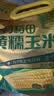 十月稻田 黄糯玉米 8根 3.52斤 真空包装 东北甜粘玉米棒 低脂早餐 实拍图