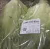 罗马生菜约500g 实拍图