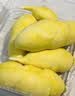 佳农泰国冷冻金枕榴莲肉净重900g/袋  生鲜水果 实拍图