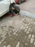固特异（Goodyear）汽车轮胎 205/55R16 91W 鹰驰F1酷跑 适配 速腾/卡罗拉 御乘升级 实拍图