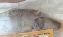 仙泉湖三去桂花鱼400g/条净膛冷冻鳜鱼无细刺海鲜水产生鲜食材 实拍图