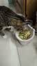 伟嘉成猫猫粮3.6kg海洋鱼味布偶夹心粮【原料透明】 实拍图