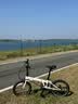 大行（DAHON）P8折叠自行车20英寸8级变速单车KBC083 白色经典版--京仓 实拍图