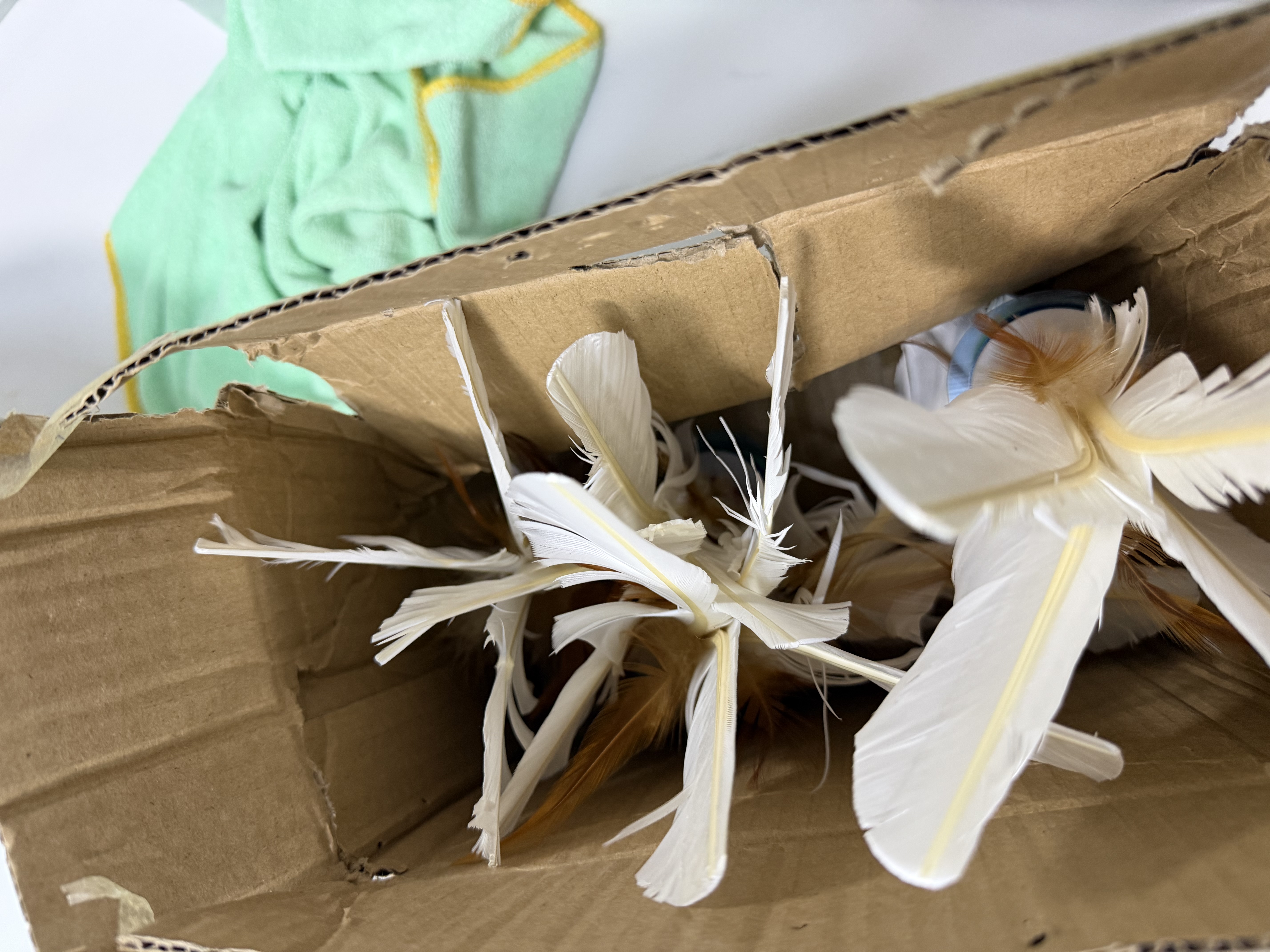 杜威克毽子成人学生毽球比赛用公鸡毛鹅毛羽毛广场团体健身牛筋底健子 白色5个装 实拍图