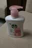 滴露（Dettol）洗手液滋润250g 儿童洗手液抑菌消毒宝宝 水润补充装试用 实拍图
