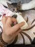 萌宠之星猫高蛋白羊奶粉0乳糖羊奶粉300g幼猫奶粉新生猫羊奶粉宠物羊奶粉 实拍图