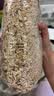 三特sante波兰进口 混合水果燕麦片1000g/袋 快煮冲饮谷物代餐 实拍图