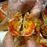 【活蟹】阳澄联合鲜活大闸蟹现货全母蟹 3.0-3.3两 8只生鲜螃蟹精品礼品盒 实拍图
