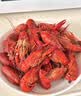 洪湖渔家清水小龙虾（4-6钱净虾2.7kg）3kg送晓飞歌料包 无添加26年新虾 实拍图