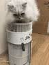 霍尼韦尔（Honeywell）宠物空气净化器吸猫毛除过敏源猫猫搭子 猫毛净化器杀菌消毒除异味KJ360F-C22W 实拍图