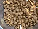伯纳天纯冻干双拼猫粮生鲜三种鱼深海御鲜三文鱼美毛猫粮11kg囤货装 实拍图