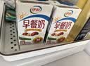 伊利早餐奶 新疆红枣250ml*16盒*1箱 礼盒装 实拍图