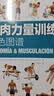 【包邮】肌肉力量训练彩色图谱 拉伸训练书体育运动健身书籍练肌肉力量训练全书减脂增肌健身教练书籍健美书 减重 京东减重 实拍图