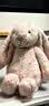 Jellycat害羞乳白色邦尼兔动物毛绒玩偶安抚玩偶娃娃送礼生日新婚礼物 害羞胭脂粉色邦尼兔 Medium 实拍图