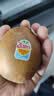 佳沛（zespri）新西兰阳光金奇异果巨大果22粒原箱单果146-175g 猕猴桃水果礼盒 实拍图
