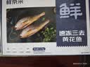 鲜京采 冷冻三去黄花鱼(宁德大黄鱼)1700g(5条装)节庆礼盒 京东自有品牌 实拍图