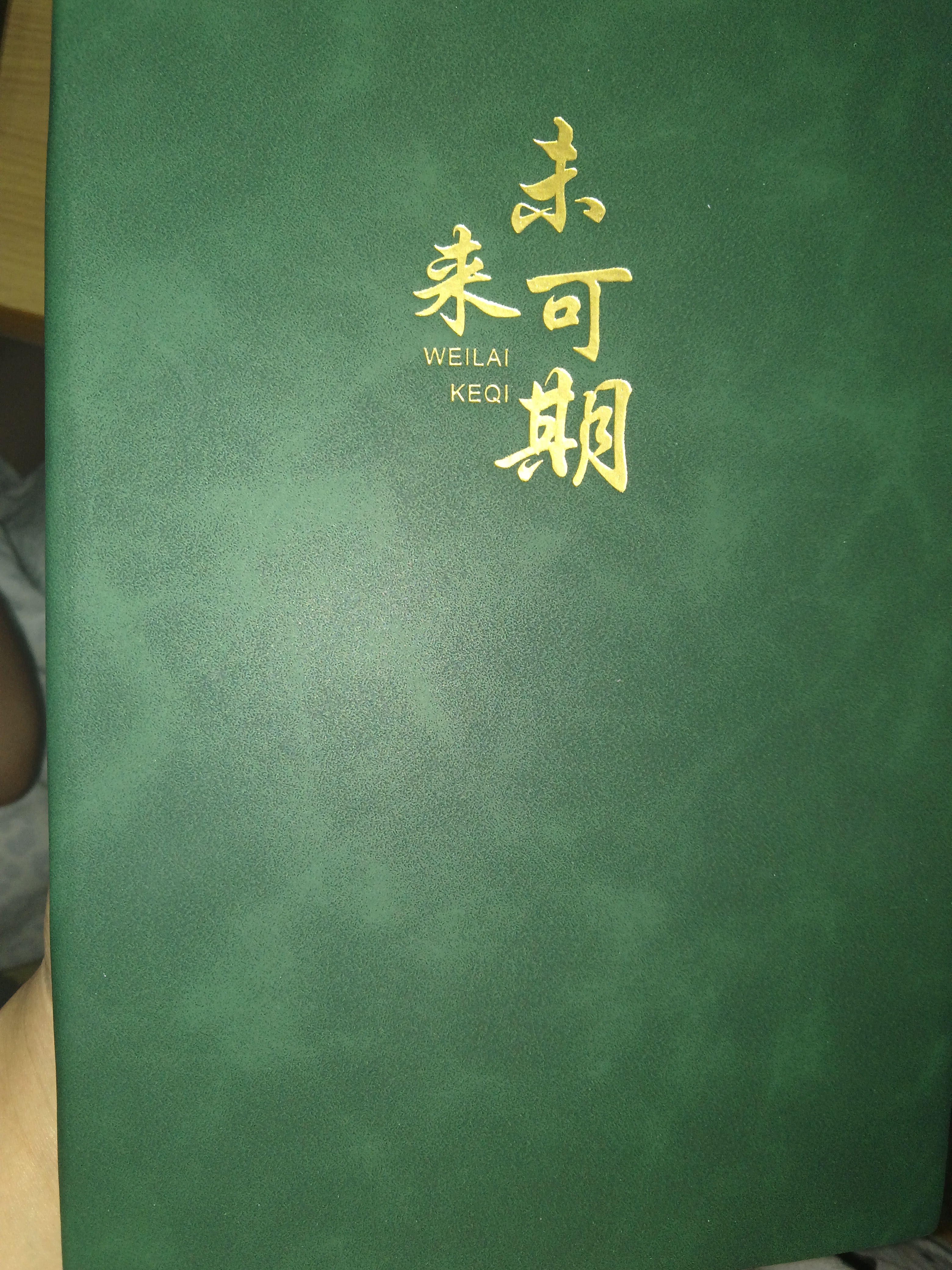 琛奈笔记本本子礼盒套装高颜值记事本商务伴手礼礼品教师节纪念品送老师礼物日记本公司定制企业logo 【单本装-只有本子】A5绿色/未来可期/200页 实拍图