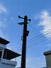 颖朗太阳能灯照明灯户外庭院灯家用道路灯室外防水投光灯天黑自动亮灯 实拍图