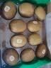 佳沛（zespri）新西兰金奇异果10粒巨大果146-175g猕猴桃水果礼盒 实拍图