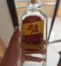 五粮液股份绵柔尖庄光瓶131 50度浓香型白酒500ml*12原箱双十一 实拍图
