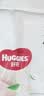 好奇（Huggies）铂金装小桃裤成长裤XL96片(12-17kg)加大号尿不湿【散热口碑王】 实拍图