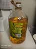 金龙鱼 食用油 非转基因 物理压榨玉米油6.18L（蕴含植物甾醇） 实拍图
