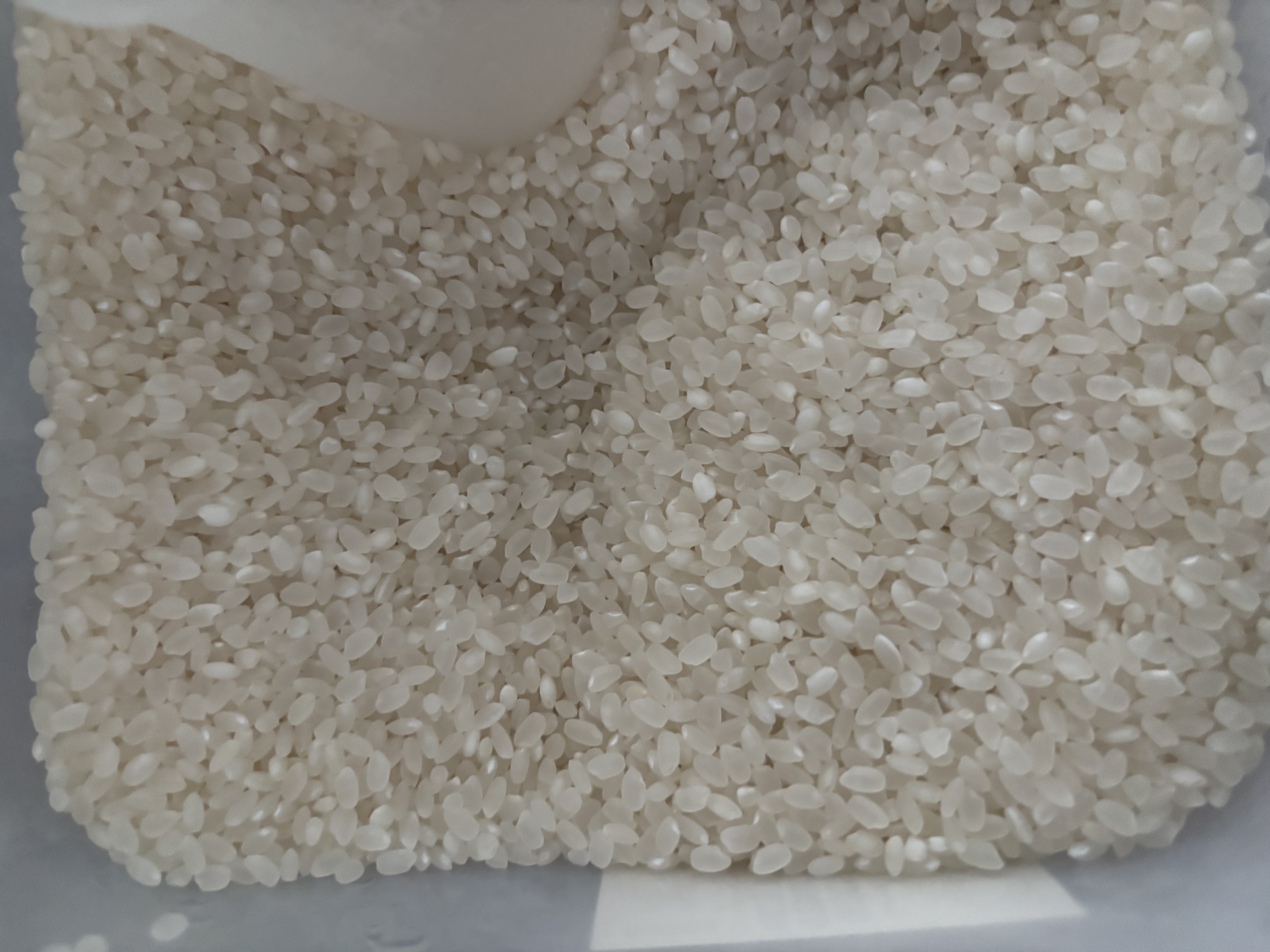 丰原食品 特等盘锦蟹田大米10斤 东北大米珍珠米 蟹稻共生 真空包装 实拍图