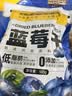 三只松鼠每日蓝莓干500g 蜜饯果干酸甜休闲零食下午茶孕妇儿童健康零食 实拍图